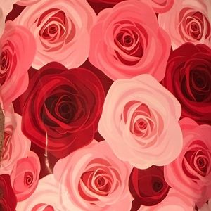 Meet your Posher, Anne